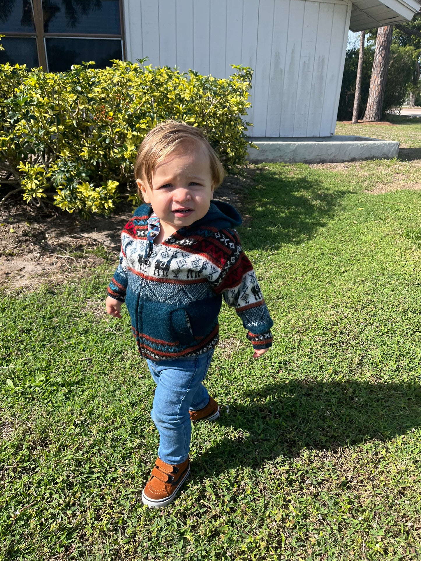 4c High Top Toddler Vans