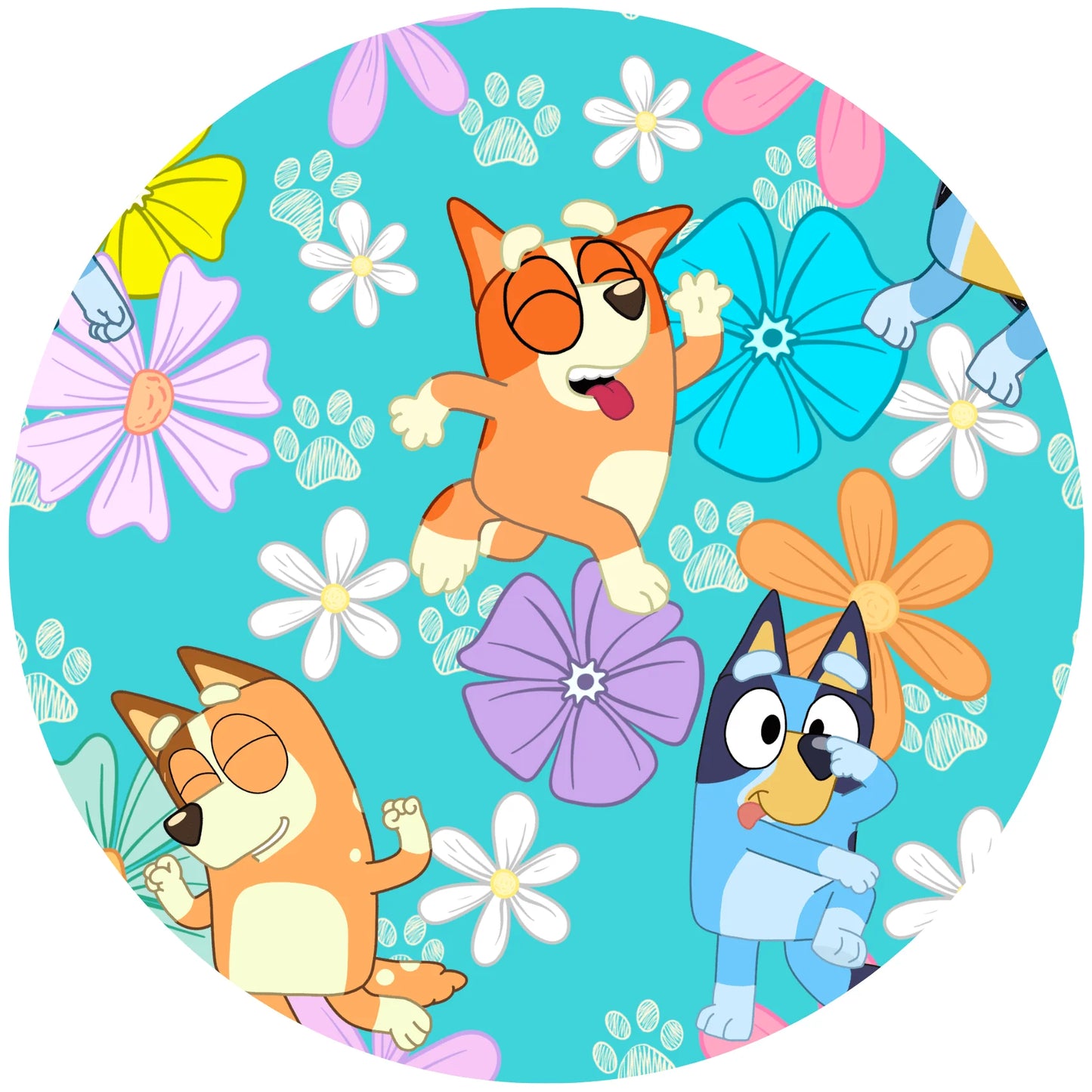 Little Snuggles Happy Hounds Bamboo Twirl with Bodysuit and Matching Bow