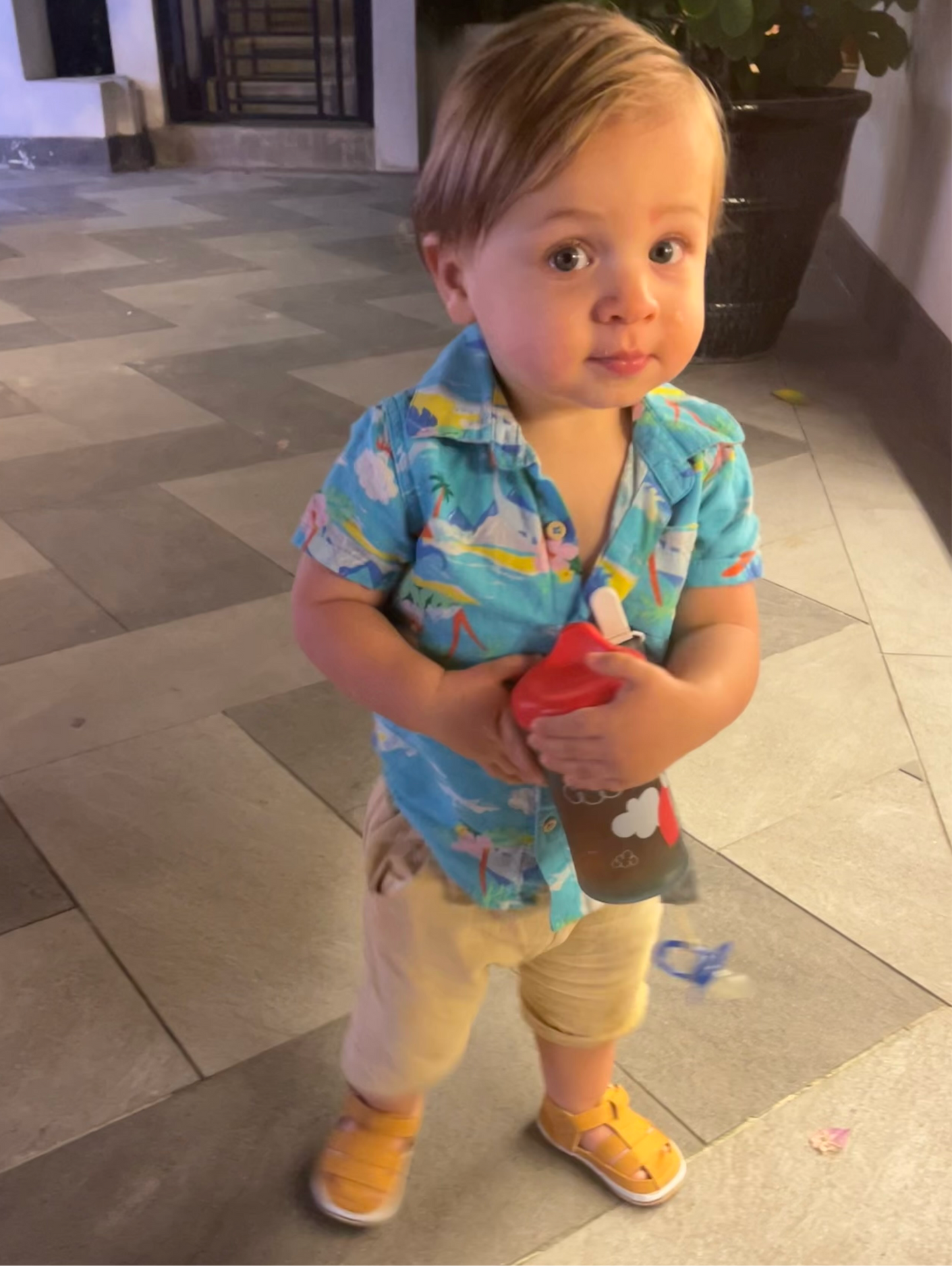 12m Hawaiian Collared Button up