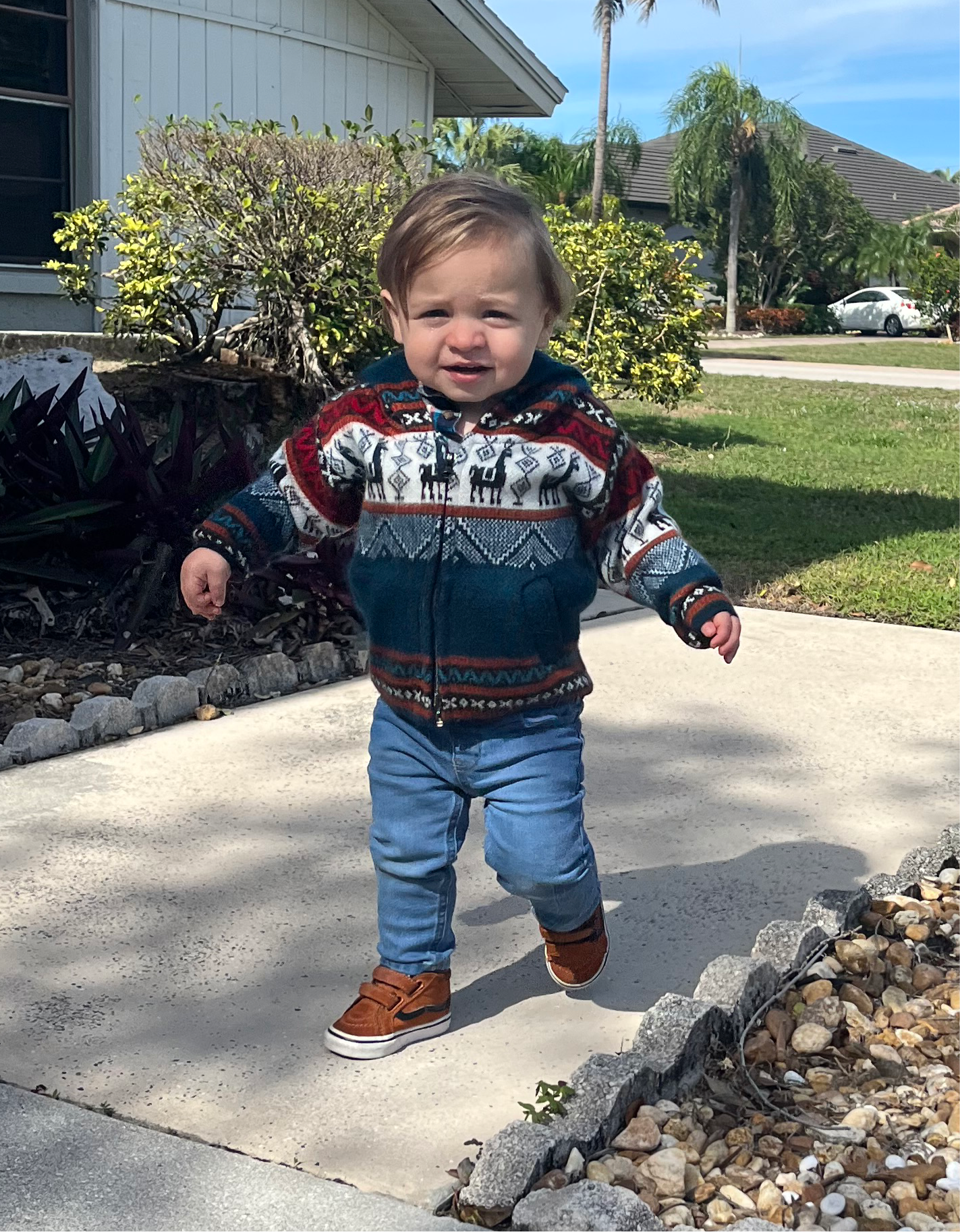 4c High Top Toddler Vans